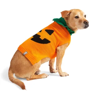 Free Country Halloween Dog Sweater