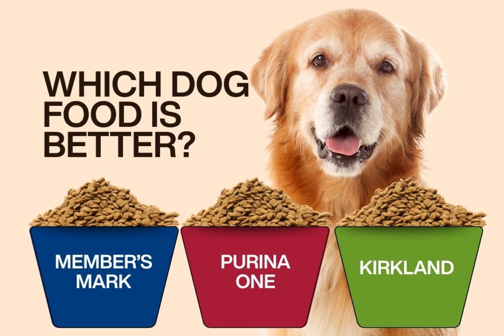 Member’s Mark vs. Purina One vs. Kirkland - Best Dog Food?